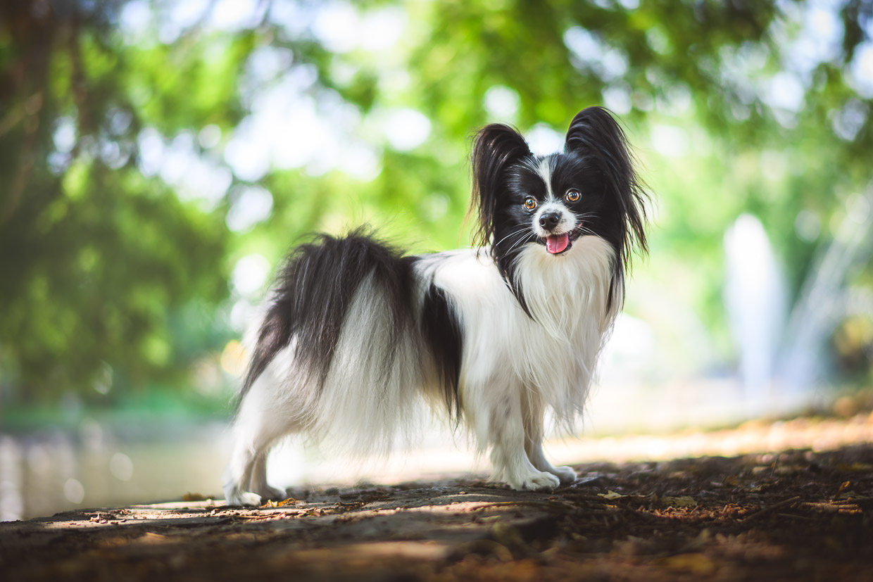 Ukázka mé práce - výběr z mého portfolia
