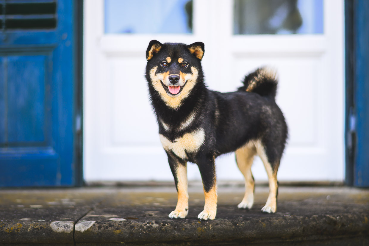 Ukázka mé práce - výběr z mého portfolia